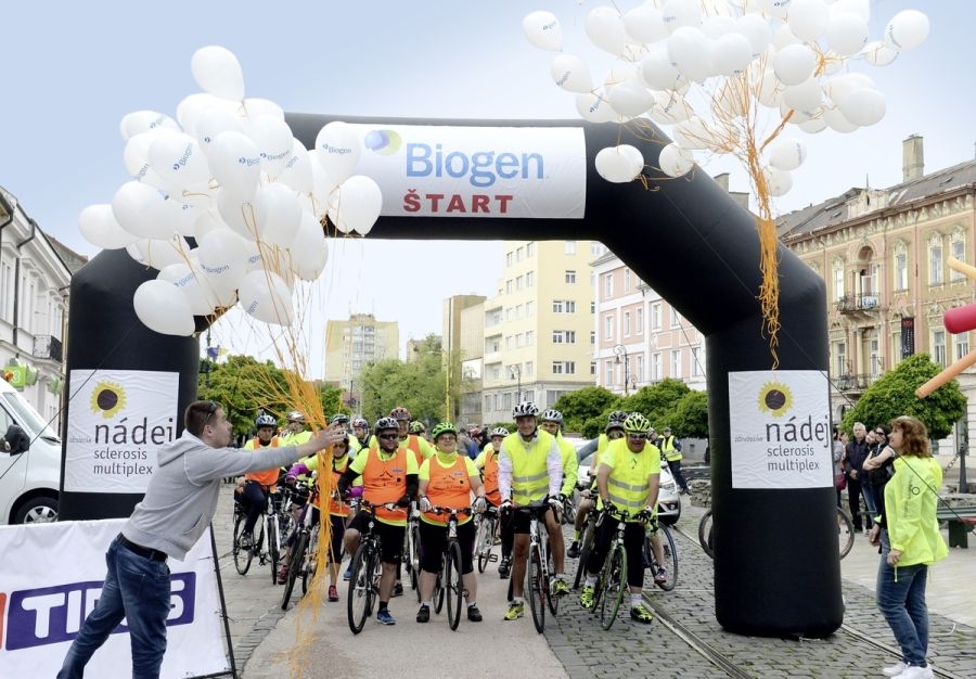 Rado-Sulek-5