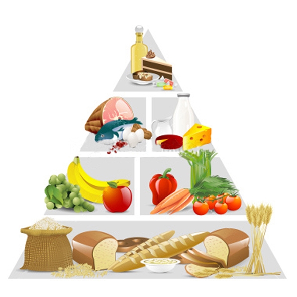 food-pyramid